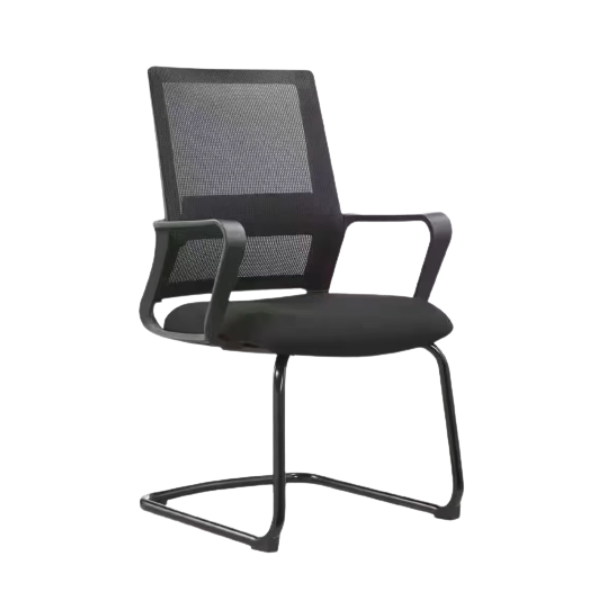 Ray Mesh Meeting Chair